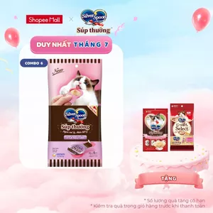 V] Combo 6 Súp Thưởng Silver Spoon Dạng Thìa Cho Mèo Vị Cá Ngừ/Vị Cá Ngừ Vằn/Vị Thịt Gà/ Hải Sản/Cá Hồi (40g/gói)
