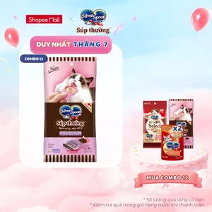 Combo 12 Súp Thưởng Silver Spoon Dạng Thìa Cho Mèo Vị Cá Ngừ/Vị Cá Ngừ Vằn/Vị Thịt Gà/ Hải Sản/Cá Hồi (40g/gói)