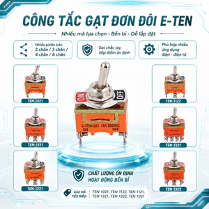 Công tắc gạt đơn, đôi E-TEN 1021, 1121, 1221, 1321, 1322 chất lượng cao.
