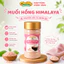 BỘT GIA VỊ CHẾ BIẾN CHUBBY 70GR ( Bột hành, Bột tỏi, Bột sả, Muối hồng )