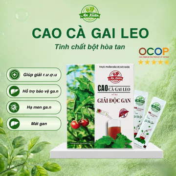 Hộp 30 Gói Cao Cà Gai Leo Hoà Tan An Xuân Cao Cà Gai Leo Hỗ Trợ Giải Độc Gan Dược Liệu An Xuân