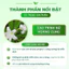 1 Vỉ Lẻ 10 Viên Men Vi Sinh Phụ Khoa Lavi Biotic