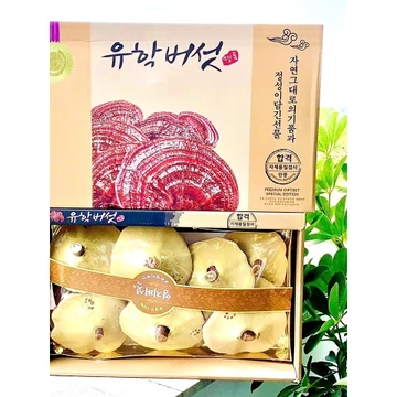 Nấm linh chi Yuhak nội địa Hàn Quốc hộp 1kg loại thượng hạng