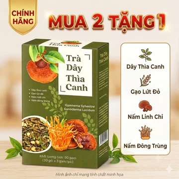 [MUA 2 TẶNG 1] Trà Dây Thìa Canh Hộp 30 Túi Lọc