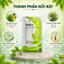 Dầu gội thảo dược Hasu gói 7,5ml giúp sạch gàu, mượt tóc, kích thích mọc tóc