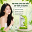 Dầu gội thảo dược Hasu gói 7,5ml giúp sạch gàu, mượt tóc, kích thích mọc tóc