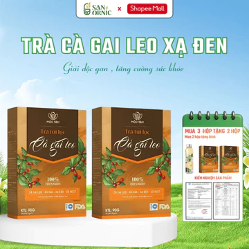 COMBO 2 Tặng 1 Trà Cà Gai Leo Xạ Đen Hương Vị Thảo Mộc Tự Nhiên Túi Lọc Tiện Lợi Dùng Mỗi Ngày