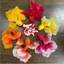 Set Trang Trí Tết Trung Thu 2026, Trang Trí Tết Cổ Truyền