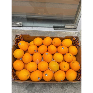 Thùng Cam nam phi lun thùng 15KG