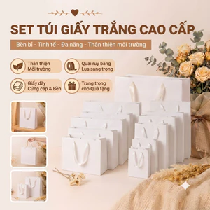 Combo 25 Túi Giấy Quà Tặng Cao Cấp Màu Trắng Quai Lụa - Túi Đựng Hộp Quà, Mỹ Phẩm, Thời Trang, Quà Doanh Nghiệp, In Logo