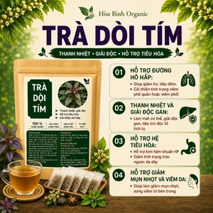 Trà Túi Lọc Dòi Thân Tím - Hòa Bình Organic - Thanh lọc, sạch phổi, hỗ trợ đường hô hấp.