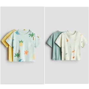 Set 2 áo hè cộc tay bé trai HM Auth săn sale