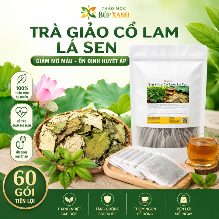 Trà Giảo Cổ Lam Lá Sen Túi Lọc Thảo Mộc Búp Xanh Bịch 60 Gói Ổn Định Huyết Áp, Mỡ Máu