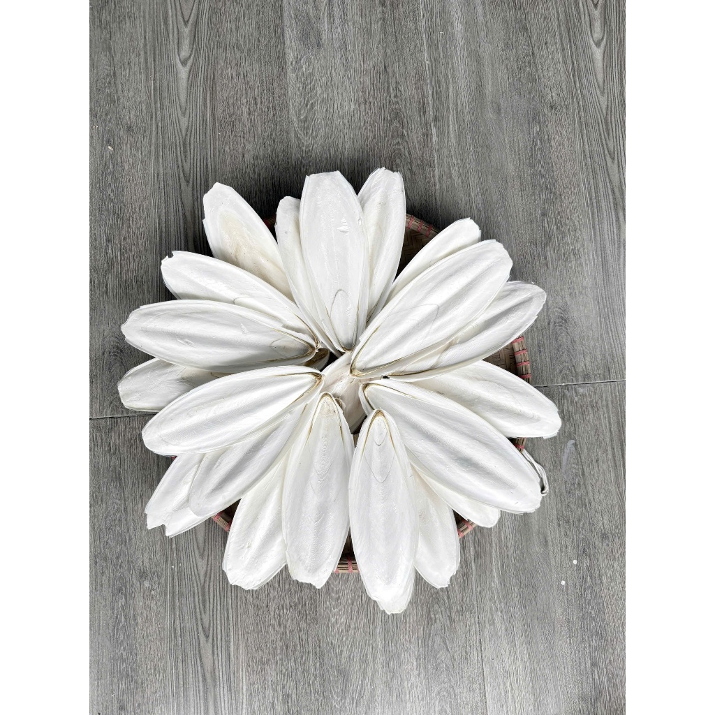 Nang Mực (Mai Mực) Bổ Sung Canxi Cho Chim Vẹt Lovebird Và Các Dòng Chim Cảnh Khác Size 15-35cm