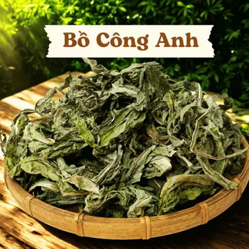 BỒ CÔNG ANH 1KG LÁ KHÔ,PHƠI KHÔ TỰ NHIÊN,KHÔNG CHỮA CHẤT BẢO QUẢN