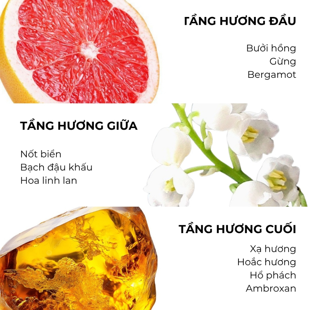 Nước hoa Mykonos Reflection - Unisex - Extrait De Parfum - 50ml | BigBuy360 - bigbuy360.vn