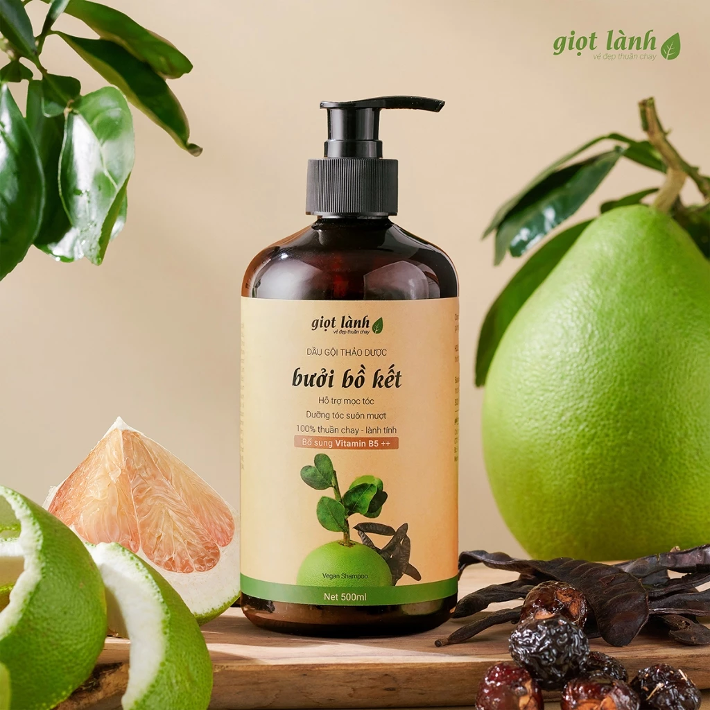 Dầu gội bồ kết - bưởi, dầu gội thảo dược thuần chay hỗ trợ kích mọc tóc Giọt Lành 500ml