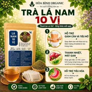 Trà Lá Nam 10 Vị- Hòa Bình Organic, Hỗ trợ giảm cân, tiêu mỡ. Thanh Nhiệt, Thải độc. Hỗ trợ tiêu hóa