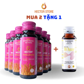 [Combo Ưu Đãi] 2 Hộp Collagen Dạng Nước Uống Đông Trùng Hạ Thảo Hector – Thực Phẩm Chức Năng Làm Đẹp