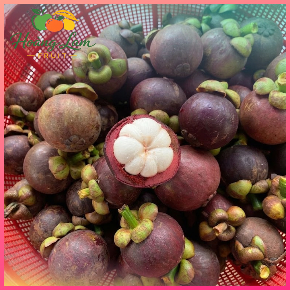 Măng Cụt Lái Thiêu Lâm Đồng Trái Đẹp Cơm Trắng Ngọt Thanh