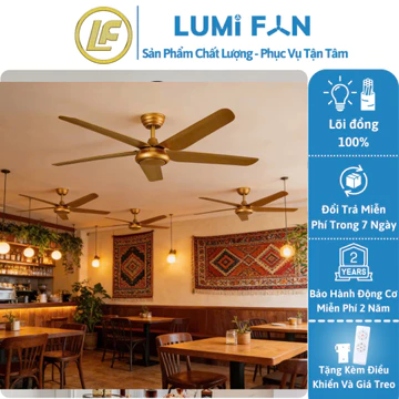 Quạt trần 5 cánh có điều khiển Lumifan, Quạt trần phòng khách, Quạt trần không đèn, Quạt công nghiệp