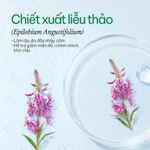Dầu gội thảo dược sạch gàu 5T Herbario 250ml — ảnh 8