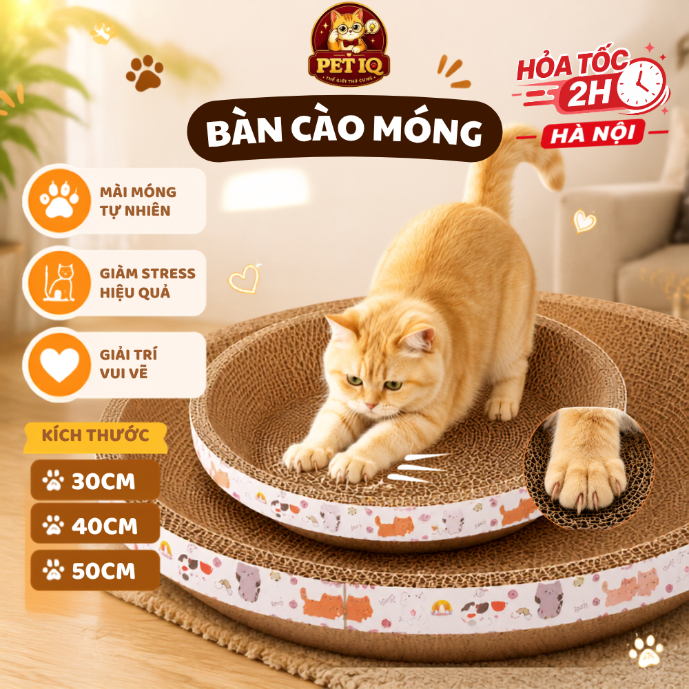 Bàn Cào Móng Tròn Cho Mèo Size 30/40/50cm Ổ Cào Móng Chất Liệu Carton Mài Móng - Giảm Stress - Bảo Vệ Nội Thất