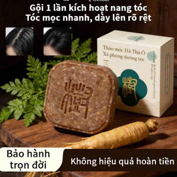 Dầu Gội dược liệu 2in1 Hà Thủ Ô Dầu Gội, Bánh Dầu Gội Thảo mộc Dầu Gội, Giảm Gãy Rụng, xà phòng gội đầu 90g