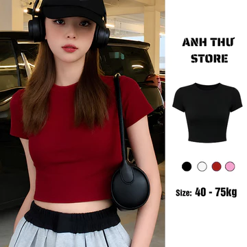 Áo Thun Nữ Cotton Croptop Ôm Body Cổ Tròn Cộc Tay Họa Tiết Trơn Basic BigSize, Áo Phông Đẹp Croptop Tay Ngắn 390
