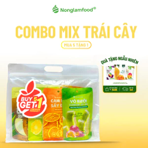 [5 Túi Tặng 1] Combo 5 Túi trái cây sấy ăn vặt Nonglamfood (Cam, Dừa, Bưởi Chanh Dây, Mít)