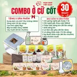 [QUÀ TẶNG] COMBO Ở CỮ (CỐT GỪNG NGHỆ GẤC) TIẾP KIỆM MOM SHIN | Vũ Phương Thảo MomShin | Trọn Bộ Ở Cữ — ảnh 1