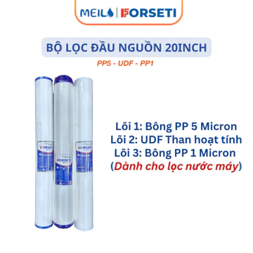 Combo Lõi Lọc Nước Thô 20 Inch Forseti Bán Công Nghiệp Sử Dụng Cho Nước Đầu Nguồn Gồm Lõi PP 5 Micron UDF Cation CTO...
