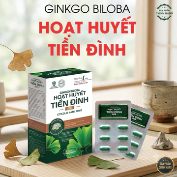 Hoạt Huyết Tiền Đình Ginkgo Biloba VSC - Giảm Đau Đầu, Chóng Mặt, Mất Ngủ, Tăng Cường Tuần Hoàn Máu Bổ Não (Hộp 30 Viên)
