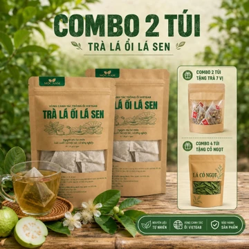 Combo 2 Túi Trà Búp Ổi Lá Sen MỘC NAM Thành Phần Nguyên Liệu Lá Ổi Lá Sen Tự Nhiên Nguyên Chất