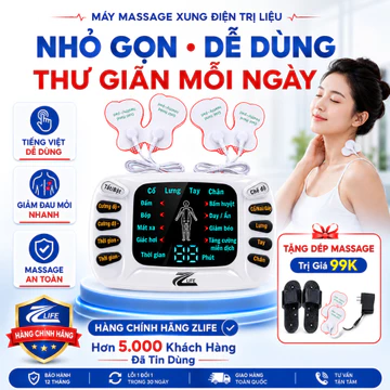 Máy Massage Xung Điện Trị Liệu Vật Lí Z310, Máy Mát Xa Châm Cứu Tiếng Việt Giảm Nhức Mỏi Toàn Thân