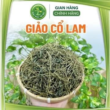 Trà giảo cổ lam SaPa 7 lá, hàng mùa mới, khô, sạch, thơm, hỗ trợ tuần hoàn, thanh lọc cơ thể, cân bằng sức khỏe
