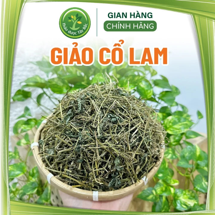Trà giảo cổ lam SaPa 7 lá, hàng mùa mới, khô, sạch, thơm, hỗ trợ tuần hoàn, thanh lọc cơ thể, cân bằng sức khỏe