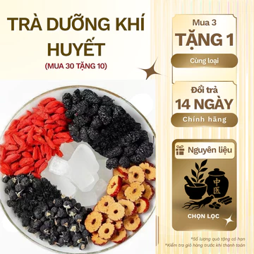 Trà dưỡng huyết 5 Vị - Kỷ Tử Đen, Dâu Tằm, Táo Đỏ - Giúp Da Hồng Hào, Chống Lão Hóa, Ngủ Ngon - Tiệm Trà Bình An