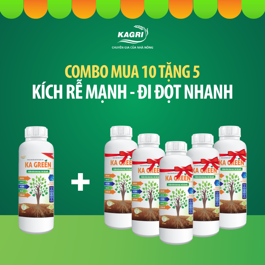 [Mua 10 Tặng 5] 15 Chai Phân bón KA GREEN LIQUID – Kích Rễ, Bung Đọt, Dưỡng Đất, Dày Lá –KAGRI Store