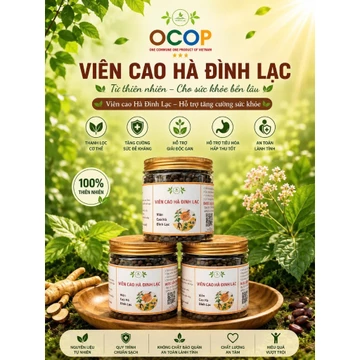 Cao Viên Hoàn Đinh Hà Lạc Trung Sửu, Bổ khí huyết, dưỡng tâm an thần, giảm căng thẳng thần kinh ( Lọ 200Gr)