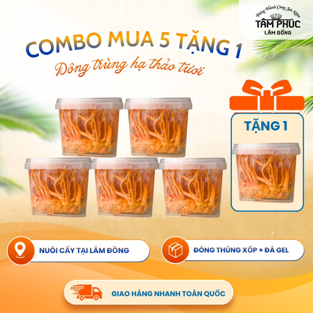 Combo Đông trùng hạ thảo tươi Tâm Phúc Lâm Đồng 150gr bồi bổ sức khỏe