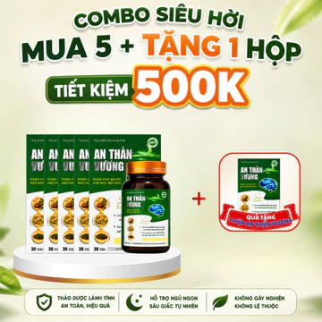 [ Combo 5 Hộp Tặng 1 Hộp ] An Thần Vương - Hỗ Trợ Ngủ Ngon, Ngủ Sâu Giấc, Giảm Căng Thẳng, Stress, Dưỡng Tâm, An Thần