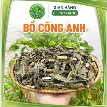 Bồ công anh, sấy khô, nguyên lá, 500 gr, trà bồ công anh thanh nhiệt cơ thể, hỗ trợ lợi sữa, mát sữa