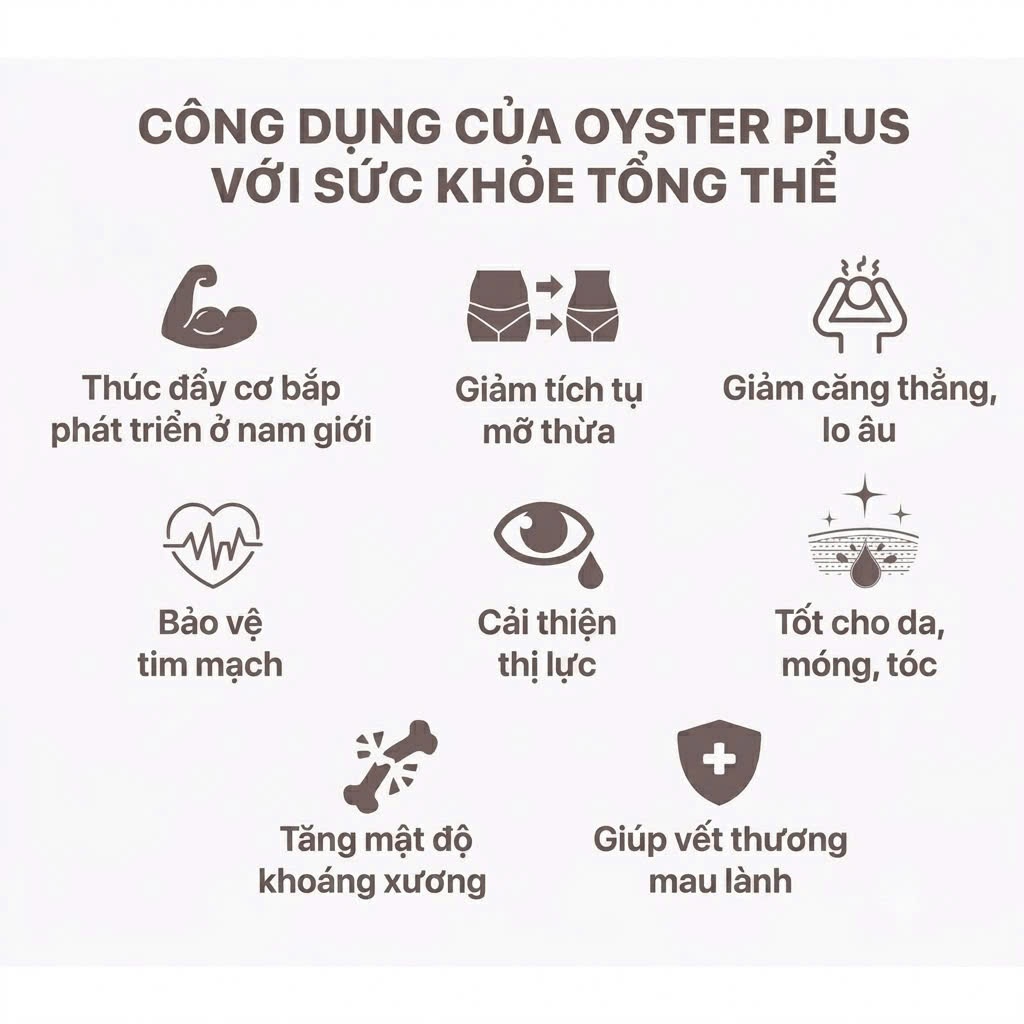 Viên Uống Hàu Biển Goodhealth Oyster Plus (60 Viên) Bổ Sung Kẽm Tăng Cường Sinh Lý, Sức Đề Kháng Nam | BigBuy360 - bigbuy360.vn