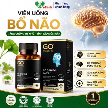 Bổ não Go Healthy Ginkgo 9000+ hoạt huyết dưỡng não tăng cường tuần hoàn não cải thiện trí nhớ tăng khả năng tập trung