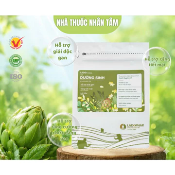 TRÀ TÚI LỌC ACTISO DƯỠNG SINH - Hỗ trợ hạ lipid máu, người bị cao huyết áp (Túi 60 túi lọc)