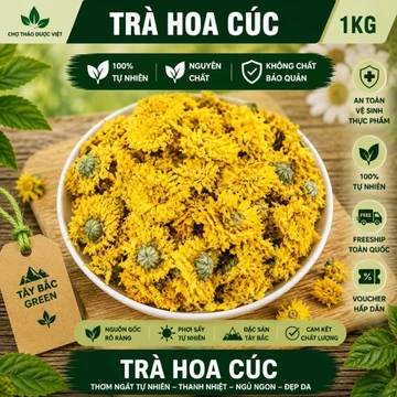 200G Trà Hoa Cúc Khô Tây Bắc Green | Hoa Cúc Sấy Khô Tự Nhiên, Hương Thơm Dịu Nhẹ, Dùng Pha Trà