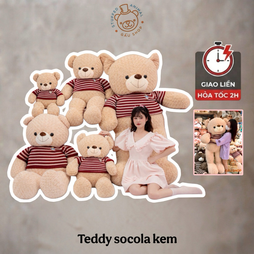 Gấu bông cao cấp Teddy socola kem – gối ôm thú nhồi bông mịn cao cấp – size 80cm 1m 1m25 1m55 2m – quà tặng dễ thương