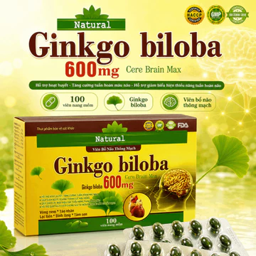 Viên Bổ Não Thông Mạch Ginkgo Biloba 600mg - Hỗ Trợ Cải Thiện Giấc Ngủ & Tăng Cường Tuần Hoàn Máu Não