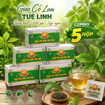 COMBO 5 HỘP Trà giảo cổ lam Tuệ Linh-date 2029-Hộp 25 túi lọc
